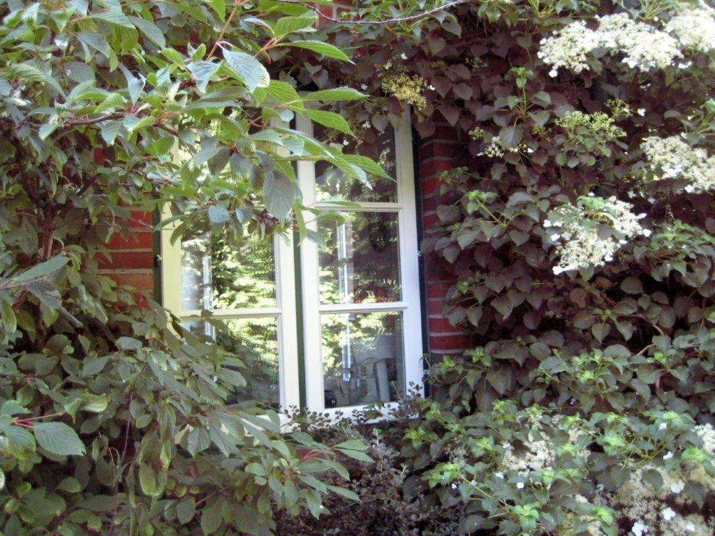 Ferienhaus Marsch Auf Foehr Borgsum Exterior foto
