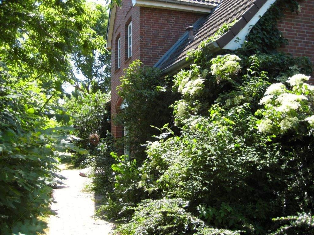 Ferienhaus Marsch Auf Foehr Borgsum Exterior foto